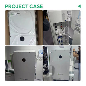 Inversor Solar Híbrido Trifásico Aislado <span class=keywords><strong>Growatt</strong></span> 50 kW 100 kW de Alto Voltaje - Product Image 3