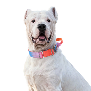 Kalung Anjing Gradien Warna-Warni untuk Jalan-Jalan, Latihan, Penggunaan Sehari-hari di Luar Ruangan, Anti-Lepas, Lembut, Tahan Lama, Kalung Anjing Taktis - Product Image 1