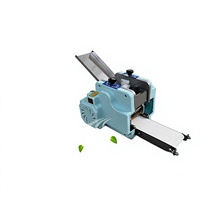 Machine commerciale manuelle pour la fabrication de raviolis et de wontons, avec moules interchangeables en option, pour usage domestique