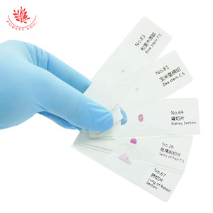 200 types d'échantillons de diapositives, typiques pour l'enseignement au primaire et au secondaire, incluant 100 espèces chacune d'animaux et - Product Image 2