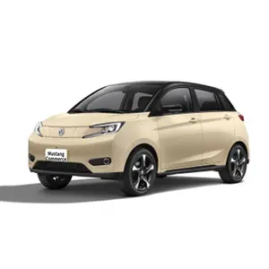 Mini coche eléctrico para uso en el hogar, vehículo eléctrico pequeño, versión cómoda y económica, hecho en China, 2023