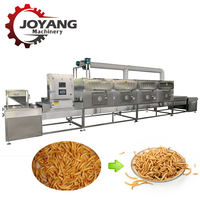 Séchoir industriel personnalisé entièrement automatique à micro-ondes continu pour vers de farine, insectes, larves de BSF et larves de mouches
