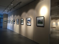 Panneaux d'affichage mobiles en aluminium pour salles d'exposition de musées, cloisons pliables modernes pour salles de conférence et restaurants