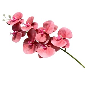 Orquídea Phalaenopsis Secret Garden, Flor de Seda de 7 Cabezas, Rama Individual, Decoración para Bodas y Hoteles, Accesorios de Fotografía - Product Image 5