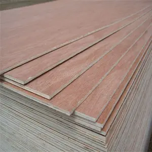 MR/BWR/BWP grade plywood, bintangor plywood