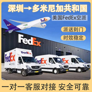 Envío de Baterías Anda Xun desde Shenzhen, FedEx Express a República Dominicana, Puerta a Puerta, DDU, Transporte de Mercancías Peligrosas - Product Image 4