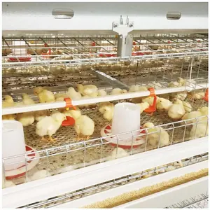 Fully Automatic poultry farming system chicken farm equipment hen coop animal house design battery broiler chicken cage for sale