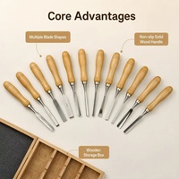 Ensemble professionnel de 12 outils de sculpture sur bois en acier CR-V, ciseaux, poinçons, manche en bois de hêtre pour le travail du bois, bricolage et artisanat