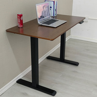 Bureau électrique debout à double moteur Bureau à deux étages à hauteur réglable et moins cher