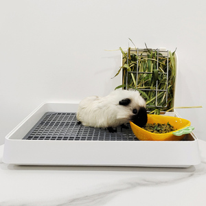 Choisir le bon <span class=keywords><strong>bac</strong></span> à <span class=keywords><strong>litière</strong></span> pour toilettes pour lapins et cochons d'Inde entraînement aux habitudes de toilette Bacs à <span class=keywords><strong>litière</strong></span> faciles à nettoyer pour lapins - Product Image 6