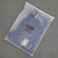 Sac d'Emballage Personnalisé à Logo Imprimé en PVC PE pour Vêtements, avec Fermeture Éclair Coulissante en Plastique
