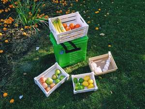 Boîte <span class=keywords><strong>de</strong></span> rangement décorative en bois naturel irrégulière vintage Style moderne vente en gros <span class=keywords><strong>de</strong></span> caisses <span class=keywords><strong>de</strong></span> <span class=keywords><strong>fruits</strong></span> <span class=keywords><strong>légumes</strong></span> bon marché <span class=keywords><strong>panier</strong></span> en bois - Product Image 5