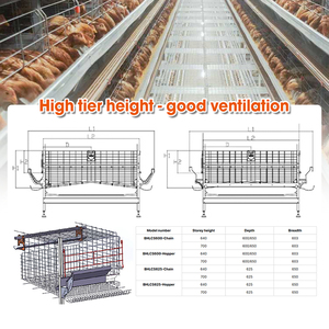 4 katmanlı katmanlı tavuk kafesi donatmak tavuk çiftliği yumurta döşeme tavuklar kafes profesyonel döşeme tavuklar tavuk kafesi tavuk çiftliği - Product Image 2