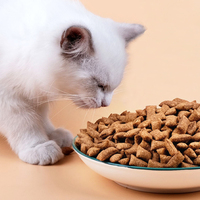 OEM ODM Chine Friandises et alimentation pour animaux de compagnie Vente en gros Fabricant d'usine Dents propres Biscuits au poisson avec boeuf Snack Food pour chat