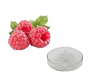 2024 Hot Selling Hunan Huakang High Quality Raspberry Ketone Extract