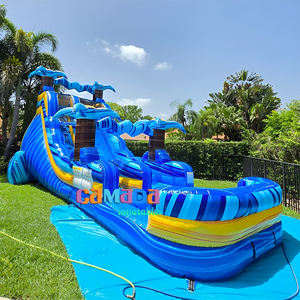 Glissière d'eau gonflable de palmier d'été commercial pour les glissières gonflables de château de glissière d'eau sur le thème de Beath de PVC d'enfants pour la partie - Product Image 6