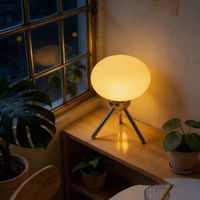 Lampe de bureau LED flexible à économie d'énergie, blanc chaud, abat-jour en verre, alimentation électrique DC, mini format, pour salle de lecture et scénarios haut de gamme