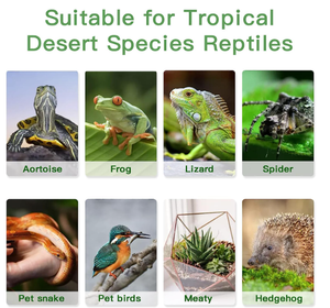 Lampe chauffante pour reptiles 360 synchronisation pivotante et gradation lampe à pince pour lézard tortue serpent <span class=keywords><strong>caméléon</strong></span> ermite crabe - Product Image 6