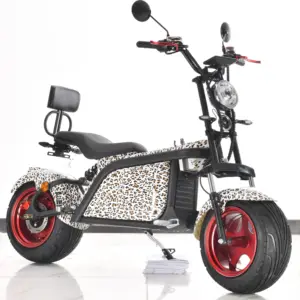 New Arrival Pink Color Adult Racing Electric Motorcycle 110Km/H With 5000W Motor