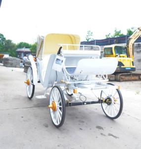 Carroza Eléctrica sin Caballos para Turismo al por Mayor con Asientos Blancos, Elegante, Duradera, Personalizable y Económica - Product Image 3