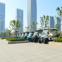 Carrito de golf eléctrico de 8 pasajeros con batería de litio, profesional, personalizado, todoterreno, para visitas turísticas en campos de golf.