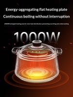 Marmite Électrique Entièrement Automatique en Céramique avec Fonctionnalités Intelligentes, Écran LCD, Capacité 3.17L, pour la Maison et la Santé, Garantie 3 Ans