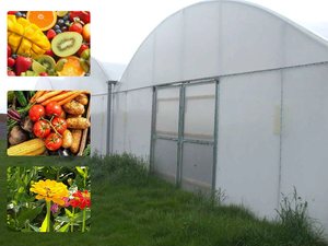 Vous n'avez pas à <span class=keywords><strong>avoir</strong></span> <span class=keywords><strong>peur</strong></span> du soleil lorsqu'il fait chaud lors de la culture des légumes dans le <span class=keywords><strong>d</strong></span>ésert. Serre de refroidissement à ombrage total. - Product Image 4
