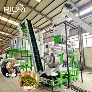 Presse à granulés d'aliments pour animaux RICHI - Machine à granulés d'aliments pour bovins à faible consommation d'énergie 3-4t/h - Coût de la usine de production d'aliments pour bovins - Product Image 1