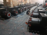 Générateur synchrone sans balais 240KW 250KW 260KW 280KW 300KW, Alternateur 240KW~550KW 240 Volts 50Hz 60Hz, Tête de générateur
