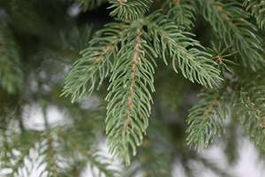 Arbre de Noël artificiel en PVC vert personnalisé à bas prix, décoration d'arbre de Noël artificiel de luxe - Product Image 4