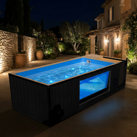Piscine hors sol de luxe en mosaïque, grande taille, avec fenêtre en acrylique, en fibre de verre, en bois, en WPC, pour spa, jacuzzi, piscine à immersion extérieure