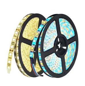 DC12V 5M LED Strip 5050 RGB RGBW RGBWW 60LEDs/m Flexible Light 5050 LED Strip RGB White Warm white Red Blue Green