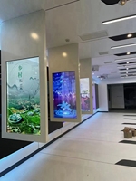 Écran OLED Transparent 30 55 77 Pouces, Affichage Intelligent à Haute Transparence, Écran Tactile Capacitif Ultra Fin, Réunion de Bureau