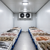 Congélateur de stockage pour produits marins destiné aux marchés de transformation de fruits de mer et à l'exportation