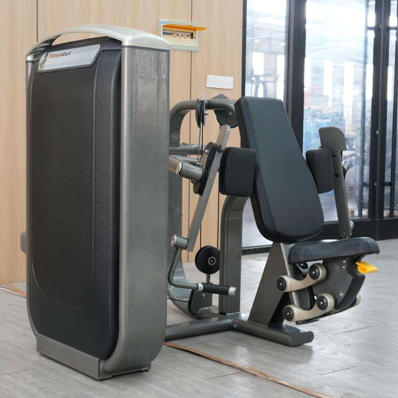 Seated Dip Machine for Sale Commercial Fitness Equipment