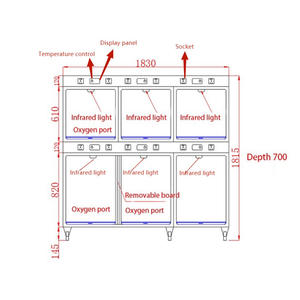 Pujia PJDY-06 paslanmaz çelik veteriner kızılötesi sıcak ışık oksijen kafesi veteriner kliniği için - Product Image 2