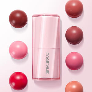 PageVine Logo Kustom Label Pribadi Stik Rias Wajah Fungsi Tahan Air Kuas Wajah Stik Pelembap Krim Lembut Blush - Product Image 3