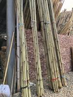 Tongkat Bambu Tonkin Kering Alami Grosir untuk Penyangga Tanaman Rumah & Kebun, Ukuran Dapat Disesuaikan 0.1-6m Panjang