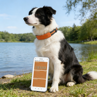 Collier de suivi de santé pour animaux de compagnie USMILEPET GPS, moniteur de fréquence cardiaque et respiratoire AI BCG, suivi de localisation et d'activité en temps réel
