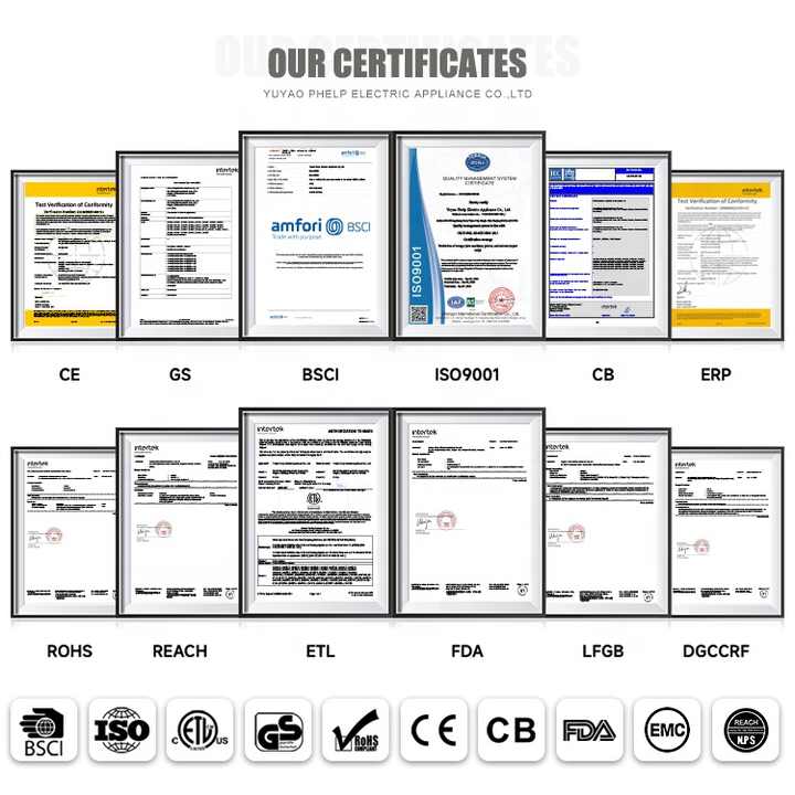 Wholesale Custom Logo Electric Orange Juicer SSL Slow Orange and Lemon