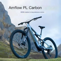 Vélo de montagne électrique en fibre de carbone Amflow PL Carbon 800Wh pour la conduite en plein air