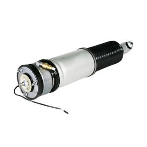 Amortisseur pneumatique 2001-2008 avec suspension pneumatique et commande électronique EDC, arrière droit, pour Série 7 E65 E66 - Product Image 1