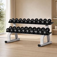 Rak Dumbbell 2 Tingkat 10 Pasang, Penyangga Penyimpanan Beban Baja Tugas Berat, Stand Dumbbell untuk Gym Rumah dan Kebugaran Komersial