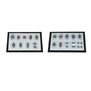 Gelsonlab HSBM-405 בעלי החיים מיטוזה ו מיוזה דגם - Product Image 4