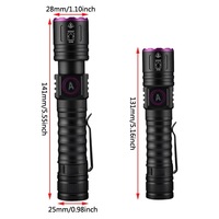 Linterna UV Mini de Aluminio, 5W, Tipo C, Recargable por USB, Luz Negra, Detector de Dinero, Ultravioleta Pura de 365nm, para Camping, IP44