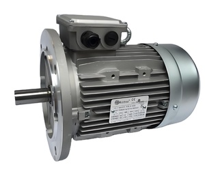 Moteur à induction triphasé universel haute performance 22 kW 30 kW 45 kW 55 kW Innomotics - Product Image 1