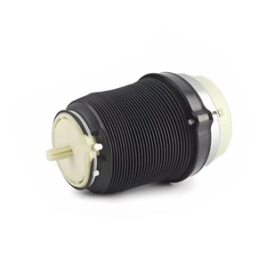 Airbag arrière 2004-2011, ressort pneumatique pour l'arrière gauche et droit, adapté à Audi A6 [C6], S6 et A6 Avant [C6] - Product Image 3