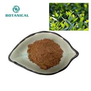 Растворимый органический растворимый экстракт зеленого чая порошок натуральный экстракт зеленого чая 98% 50% Epigallocatechin-3-Gallateb Egcg - Product Image 4