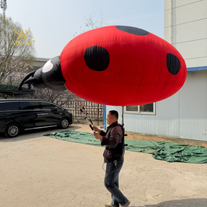 Disfraz Inflable <span class=keywords><strong>de</strong></span> Mariquita para Usar como Mochila, Accesorio Inflable <span class=keywords><strong>de</strong></span> Desfile, Disfraz <span class=keywords><strong>de</strong></span> Mascota Inflable <span class=keywords><strong>de</strong></span> Escarabajo <span class=keywords><strong>de</strong></span> Dibujos Animados para Espectáculos en Parques <span class=keywords><strong>de</strong></span> Atracciones - Product Image 3