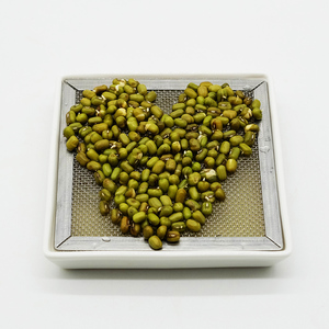 Plato de Cerámica para Germinar, Cuadrado, para Brotes de Frijol Verde y Amarillo, Ecológico y Apto para Familias - Product Image 3